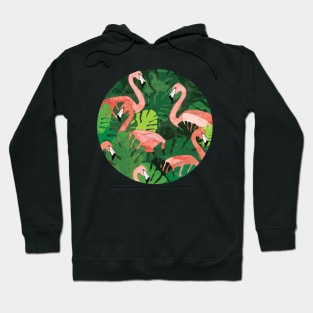 Flamingos Hoodie